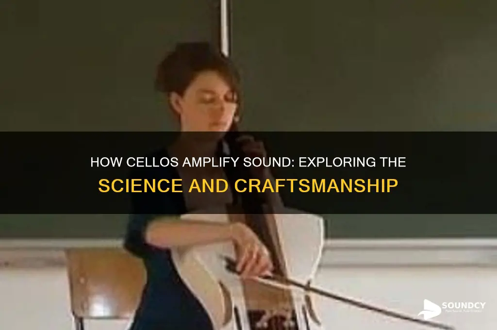 how does a cello amplify sound