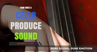 Unveiling the Cello's Magic: How Strings and Resonance Create Sound