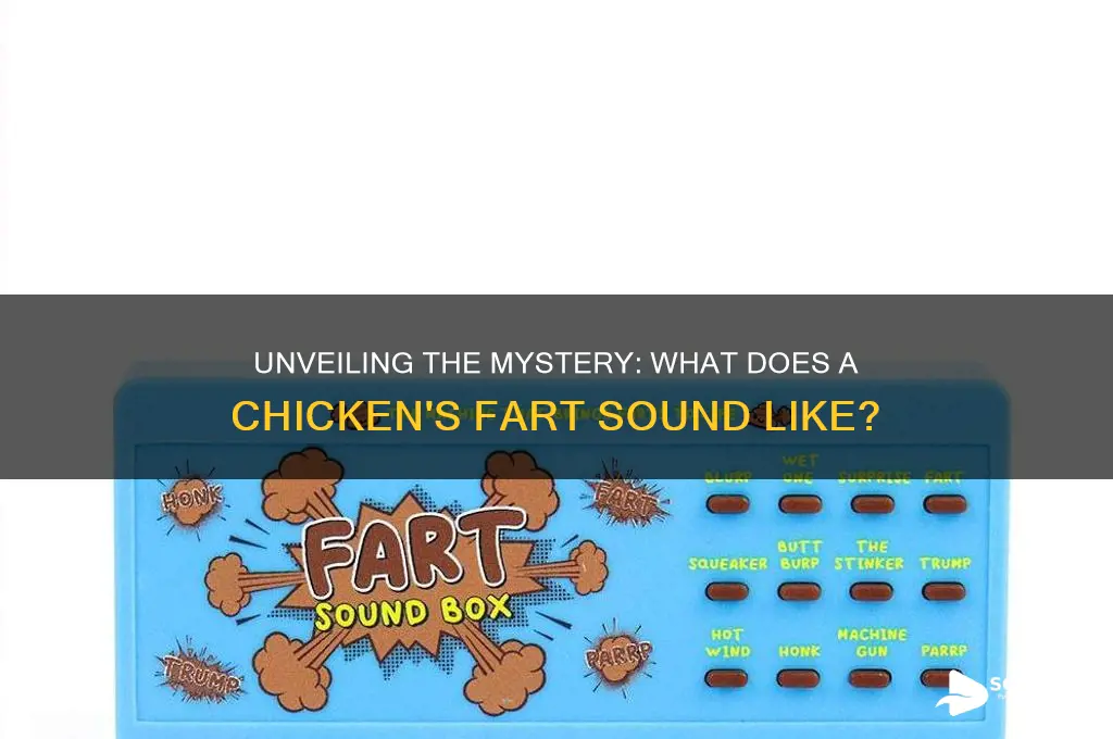 how does a chicken fart sound