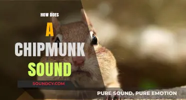 Unveiling the Unique Chirps and Calls of Chipmunks in Nature