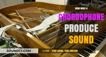Unveiling the Vibrant Mechanics of Chordophones: How Strings Create Sound
