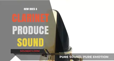 Clarinet Sound Production: Unveiling the Science Behind the Reed's Vibrations
