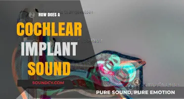 Exploring the Unique Soundscape of Cochlear Implants: A User's Perspective