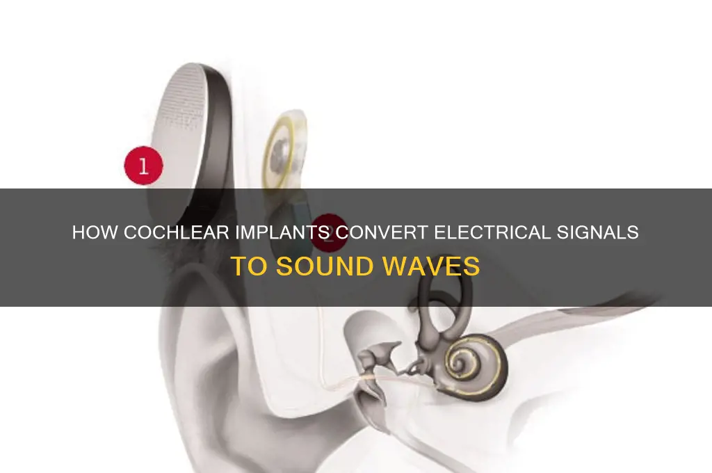 how does a cochlear implant translate electricity into sound