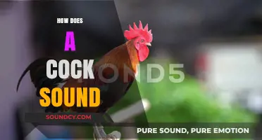 Unveiling the Unique Sounds of a Rooster's Crow: A Detailed Exploration