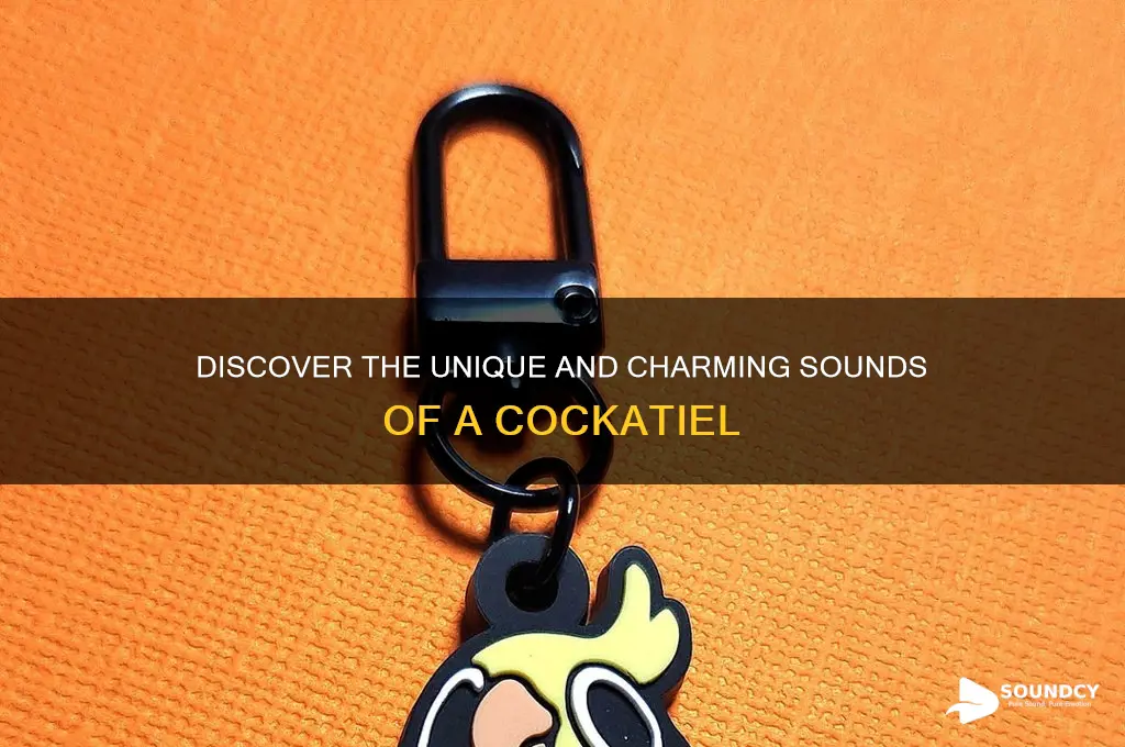 how does a cockatiel sound