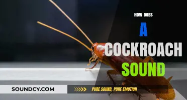 Unveiling the Mysterious Noises: How Does a Cockroach Sound?