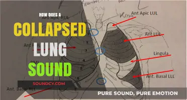 Unraveling the Sounds of a Collapsed Lung: What to Listen For