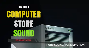 How Computers Store Sound: Exploring Digital Audio Storage Mechanisms