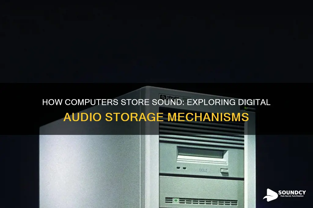 how does a computer store sound