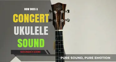 Exploring the Bright, Portable, and Unique Sound of Concert Ukuleles