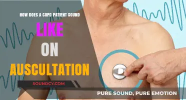 COPD Auscultation: Recognizing Wheezing, Crackles, and Reduced Breath Sounds