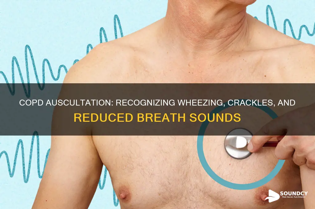 how does a copd patient sound like on auscultation