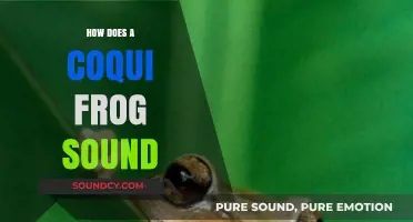 Discover the Unique Coqui Frog's Distinctive Nighttime Serenade