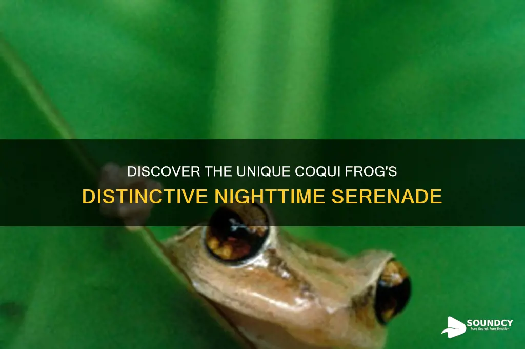 how does a coqui frog sound
