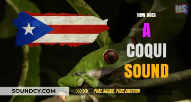 Discover the Unique and Enchanting Call of the Coqui Frog