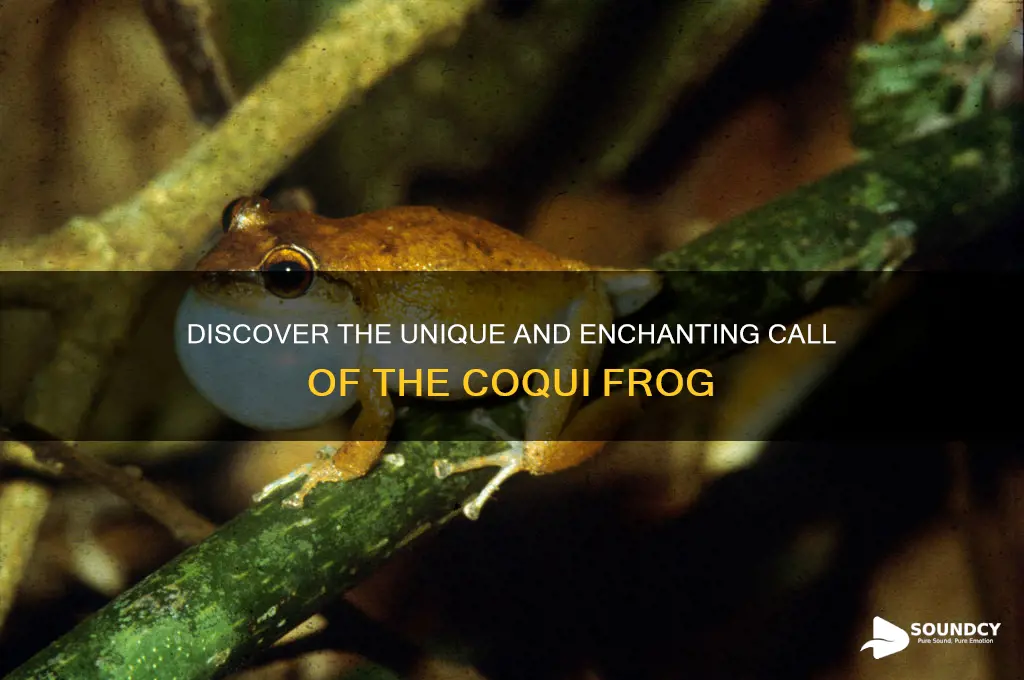 how does a coqui sound