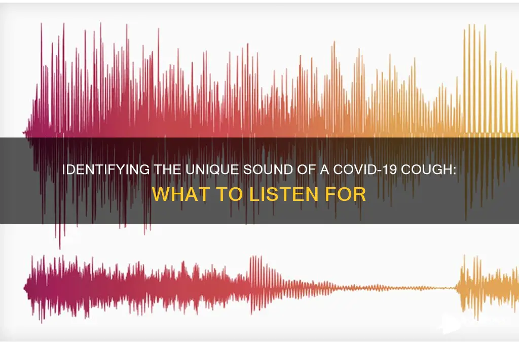 how does a corona cough sound