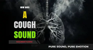 Understanding Cough Sounds: Types, Causes, and What They Reveal About Health
