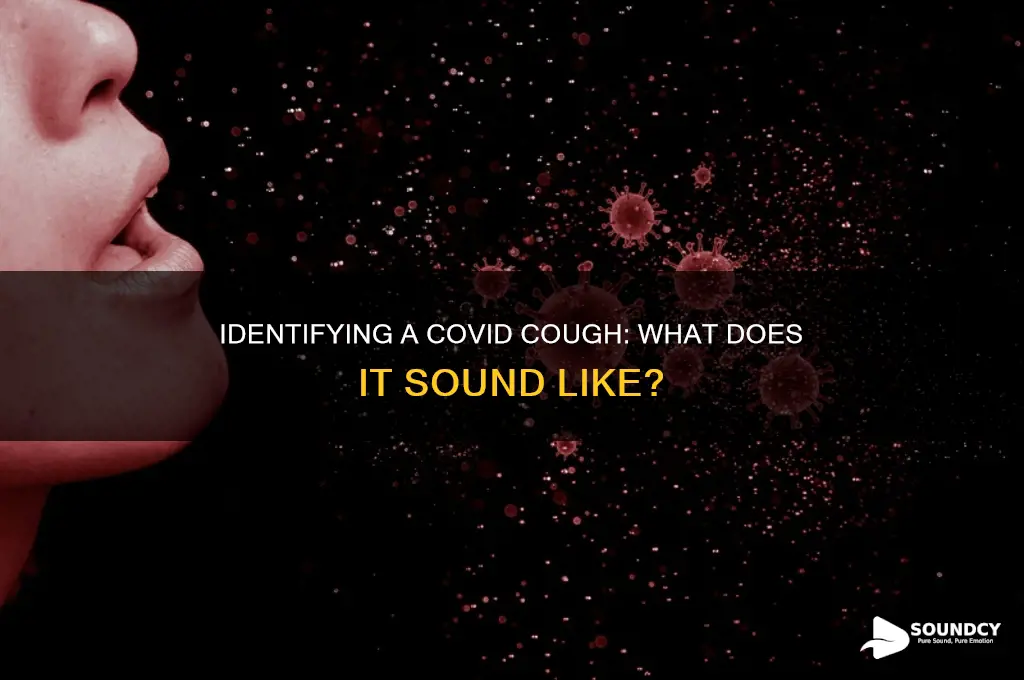 how does a covid cough sound
