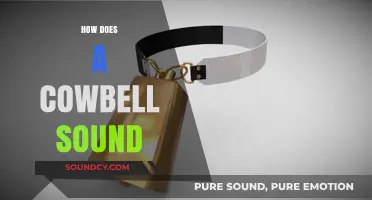 Unveiling the Unique Clanging Resonance of a Traditional Cowbell's Sound