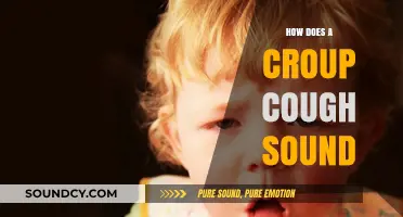 Understanding the Distinctive Bark: What a Croup Cough Sounds Like
