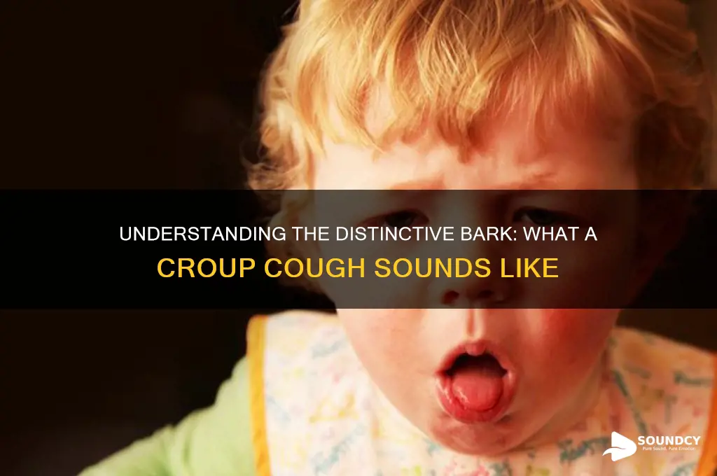 how does a croup cough sound