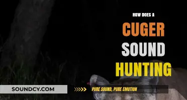 Unveiling the Unique Sounds of Cuger Hunting in the Wild