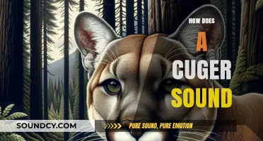 Unveiling the Unique Sound of a Cuger: A Comprehensive Guide