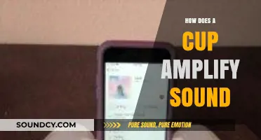 How a Simple Cup Enhances Sound Waves: The Science Explained