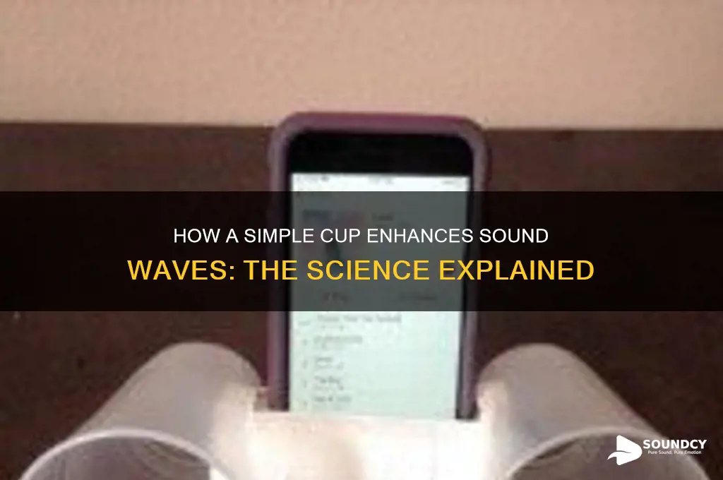 how does a cup amplify sound