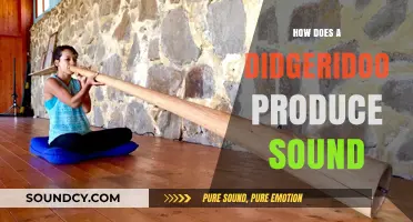 Unveiling the Didgeridoo's Sonic Secrets: How It Creates Unique Sounds