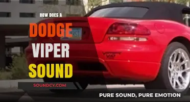 Unleashing the Beast: Experiencing the Raw Roar of a Dodge Viper