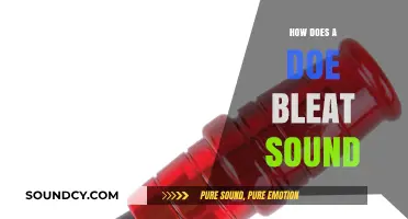 Understanding the Unique Doe Bleat Sound: A Comprehensive Guide
