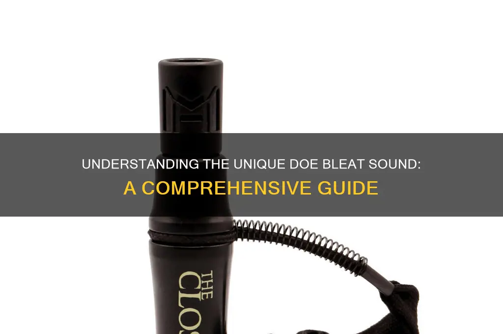 how does a doe bleat sound