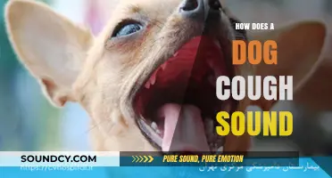 Understanding Your Dog's Cough: Sounds, Causes, and When to Worry