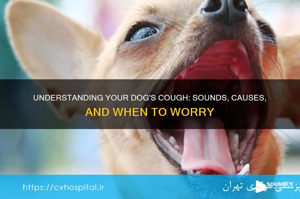 how does a dog cough sound