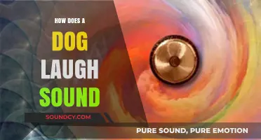 Unveiling the Joyful Sounds: What Does a Dog's Laughter Really Mean?