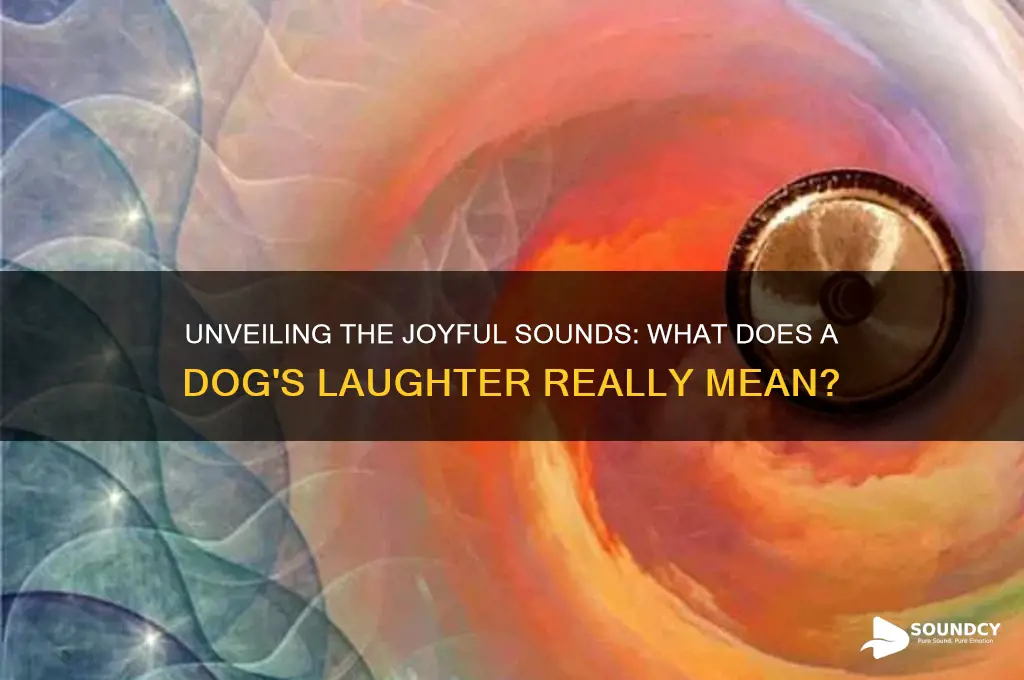 how does a dog laugh sound