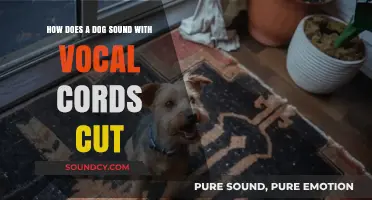 Understanding Silent Barks: Life After Vocal Cord Surgery in Dogs