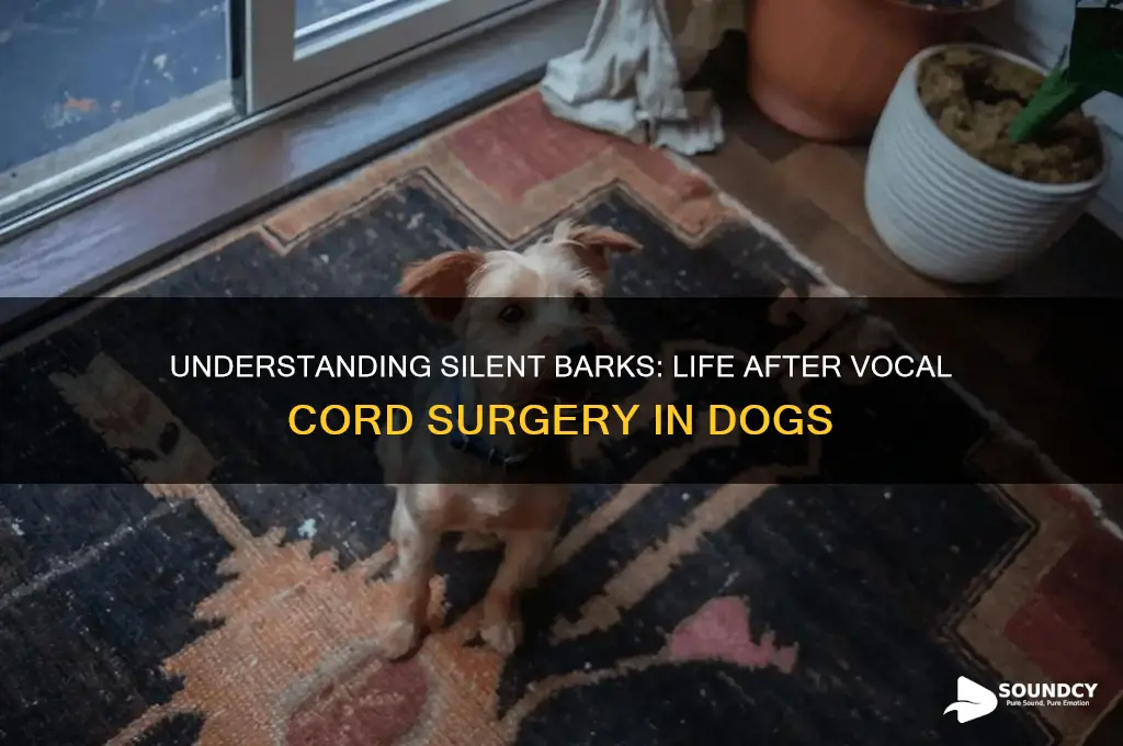 how does a dog sound with vocal cords cut