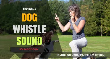 Understanding the High-Pitched, Inaudible Sound of a Dog Whistle