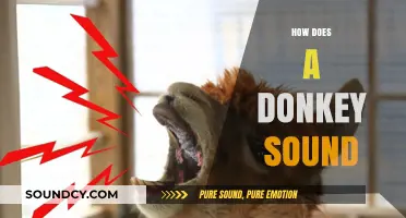 Unveiling the Unique Vocalizations: How Does a Donkey Sound?