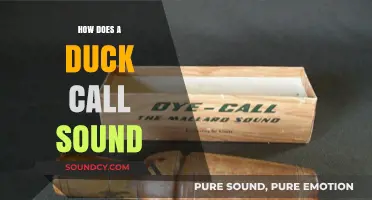 Discover the Unique Quack: How Does a Duck Call Sound?