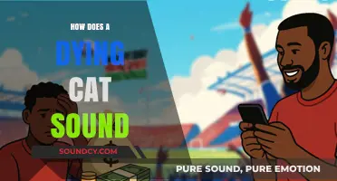 Understanding the Heart-Wrenching Sounds of a Cat Nearing Death