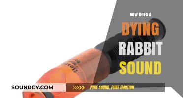 Understanding the Heartbreaking Sounds of a Dying Rabbit: A Guide