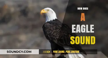 The Majestic Eagle's Call: Unveiling Its Unique Vocalizations and Sounds