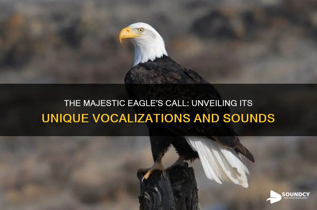 how does a eagle sound