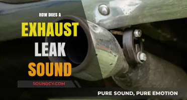 Identifying Exhaust Leaks: Understanding the Distinct Sounds and Symptoms