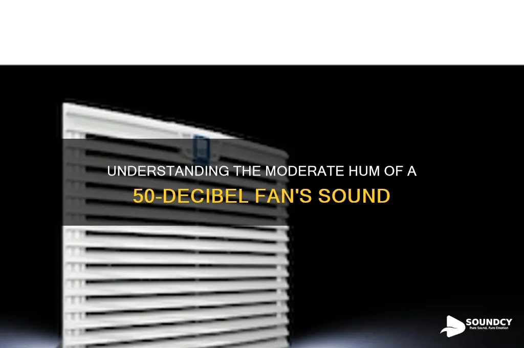 how does a fan exhibiting 50 decibels sound like